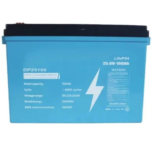 Аккумулятор Dipower LiFePO4 24V/100AH, 2560W*h